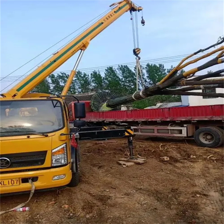 铁山100吨吊车租赁费用怎么算？3大关键因素+省钱技巧全解析